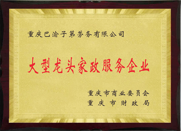 大型龍頭家政服務企業(yè)